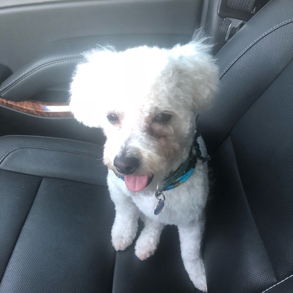 Meet your Posher, Daniel - Picture 1 of 1